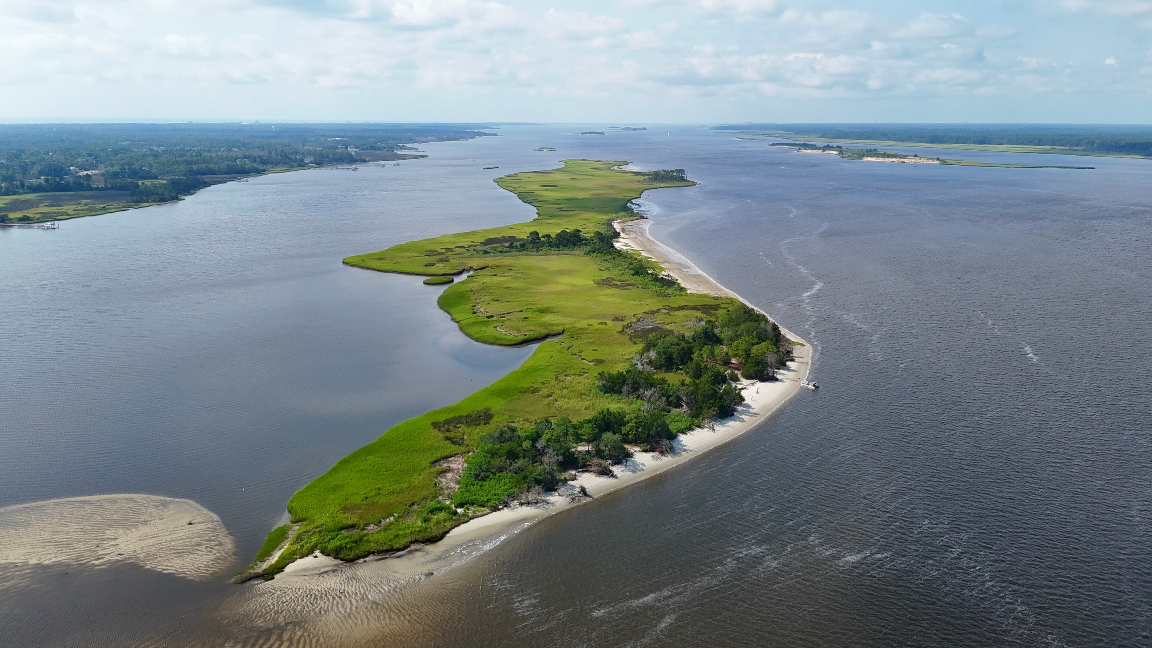 Salt marsh at the Cape Fear coast near Wilmington